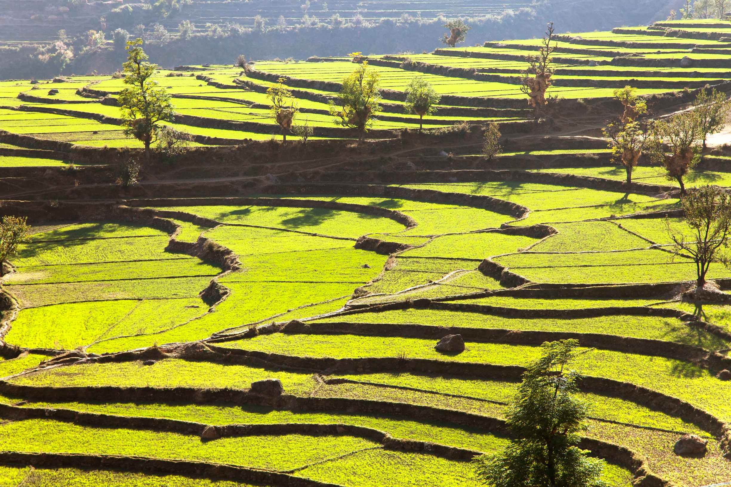 Terrace in Nagarkot Hill